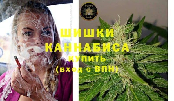 спиды Аркадак