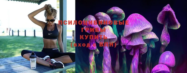 спиды Аркадак